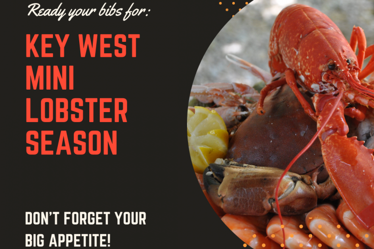 Mini Lobster Season Historic Key West Vacation Rentals